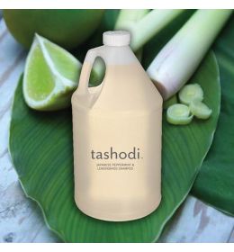 TA-SH|2020-10-13 17:59:05